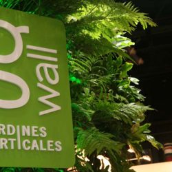 Jardines Verticales en locales comerciales – Gwall