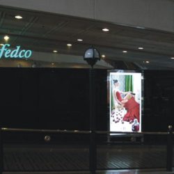 Fedco Andino – Bogotá – Colombia – Ariaudo & Asoc.