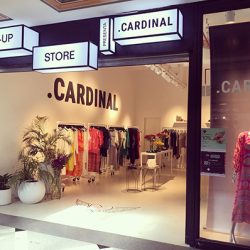 Diseño de locales comerciales en Paseo Alcorta – Cardinal – Somos Nemo
