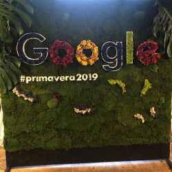 Muros verdes sustentables con flores naturales – Google – Alles Grun