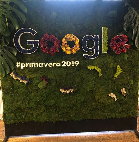 Muros verdes sustentables con flores naturales – Google – Alles Grun