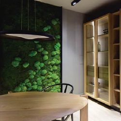 Muros verdes – Decoración de oficinas – Palermo – Alles Grun