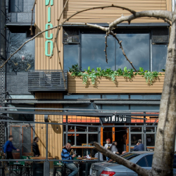 Interiorismo Gastronómico – Bar Cínico – Recoleta – Interiores Maluk