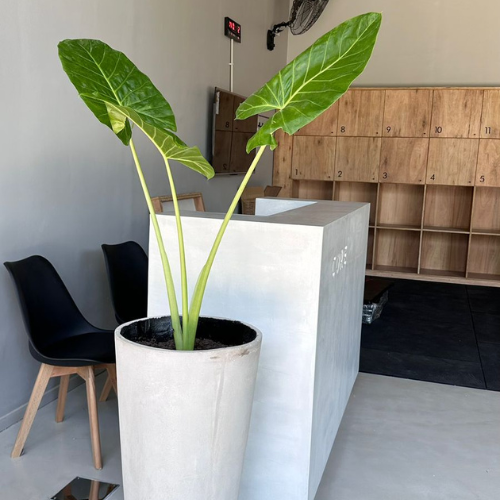 Arquitectura y diseño