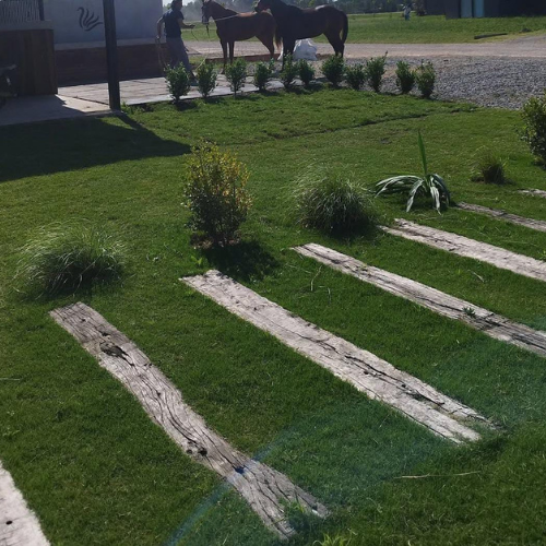 Diseño de jardines exteriores